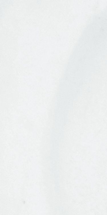 Origines Argent Glossy 12 x 24